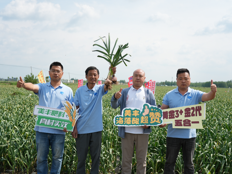 夏攻行动：William威廉护航夏粮丰产丰收