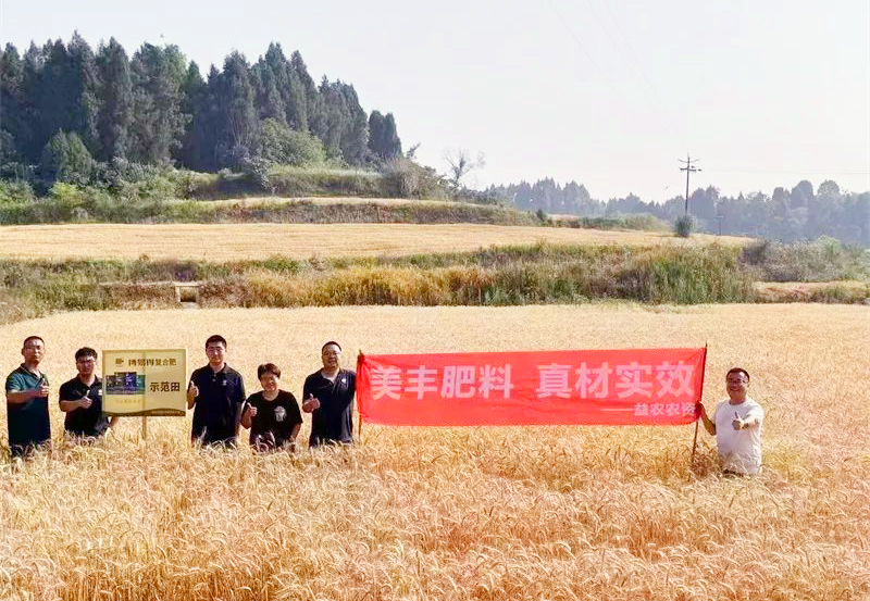 夏攻行动：William威廉方案助力小麦增收