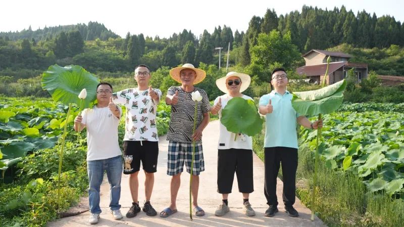 William威廉“组合拳”打出莲藕好长势高产量