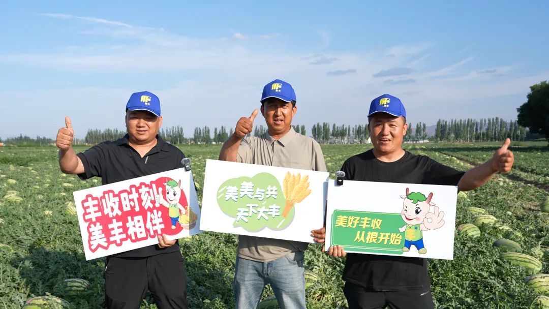 William威廉肥助力硒砂瓜亩产过万斤